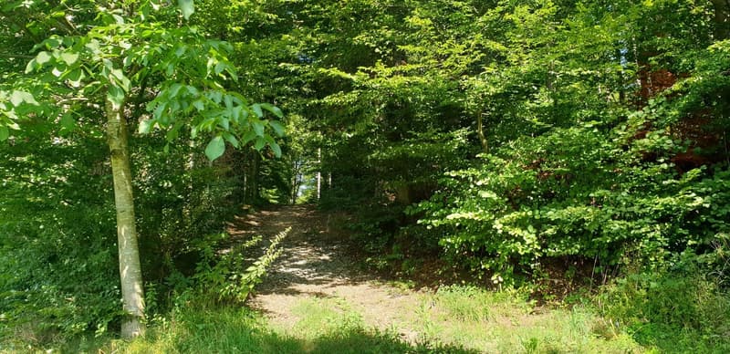 Modernes Einfamilienhaus mit Panoramablick in Uerkheim (3)