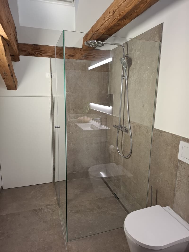 Bathroom features a glass shower enclosure with modern shower head, adjacent white ceramic toilet, and gray tiled flooring.