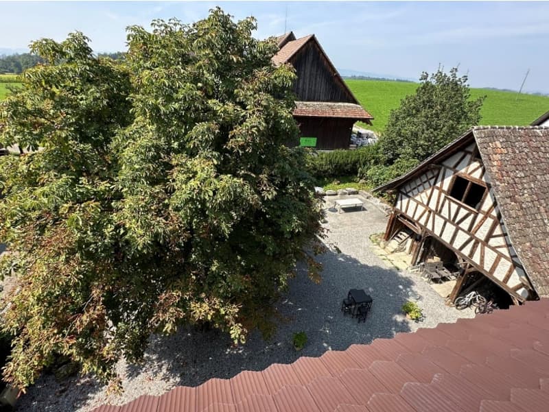 two barns, gravel area, tree, bicycles, outdoor table, green field in background