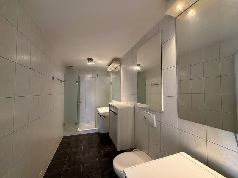 Helle und grosszügige 3.5-Zimmer-Wohnung in Lachen (7)