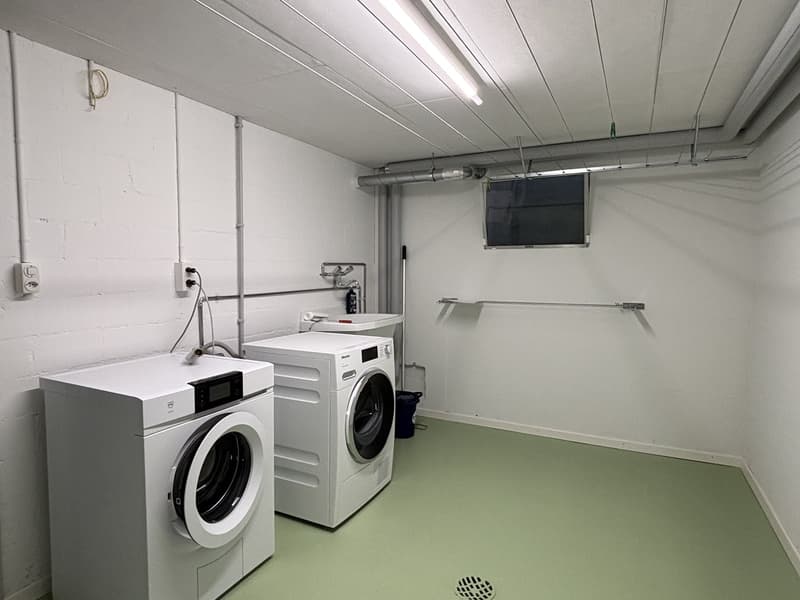 Frisch renoviertes 5.5-Einfamilienhaus an sonniger Lage (14)