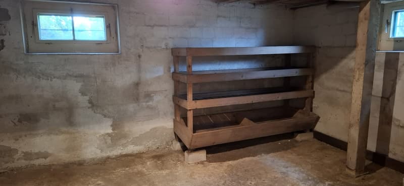 Charmantes 5-Zimmer-Einfamilienhaus in Schlieren – ab sofort zu vermieten (15)
