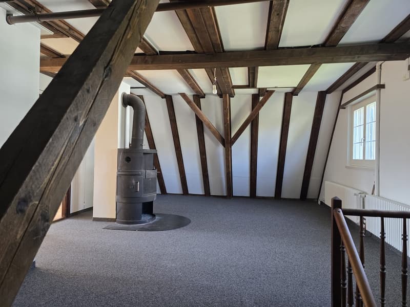 6.5-Zimmer-Einfamilienhaus mit Terrasse und Seesicht (17)