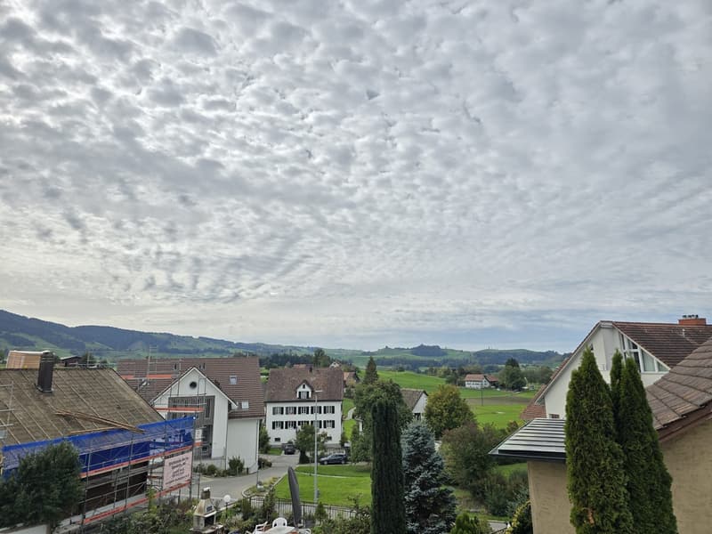 Modernes Wohnen in ruhiger und naturnaher Lage (3)