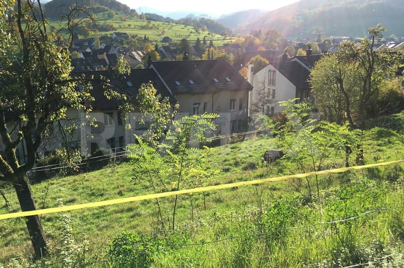 Fixfertiges Projekt für 5 Einfamilienhäuser (6)