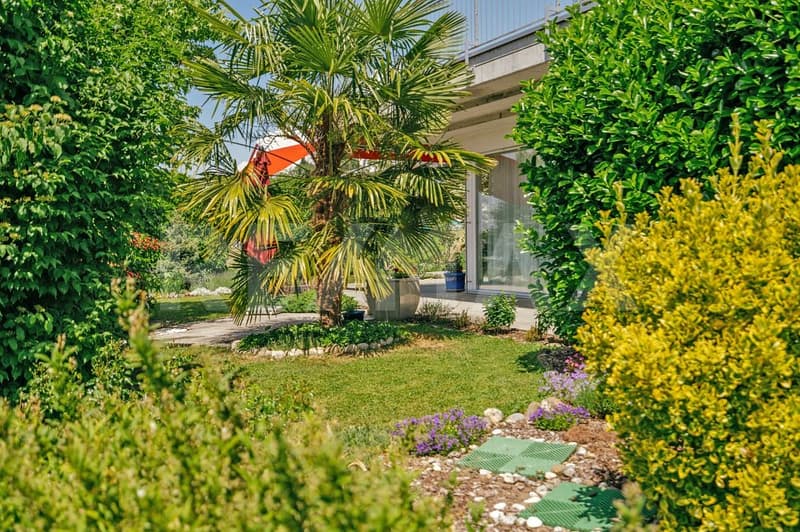Wie im Tessin - 4.5-Zi.-ETW mit grossem Garten (2)
