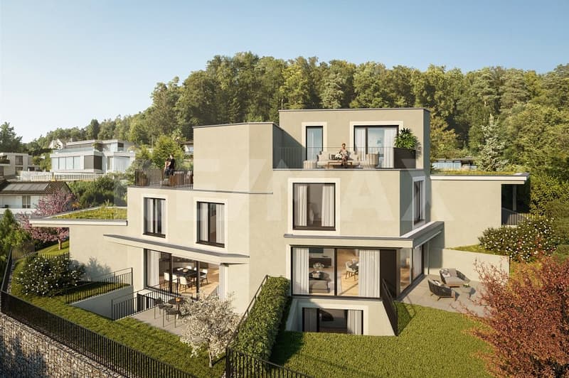 Neubauprojekt VITIS an sonniger Aussichtslage in Geroldswil - Haus B bereits reserviert (1)