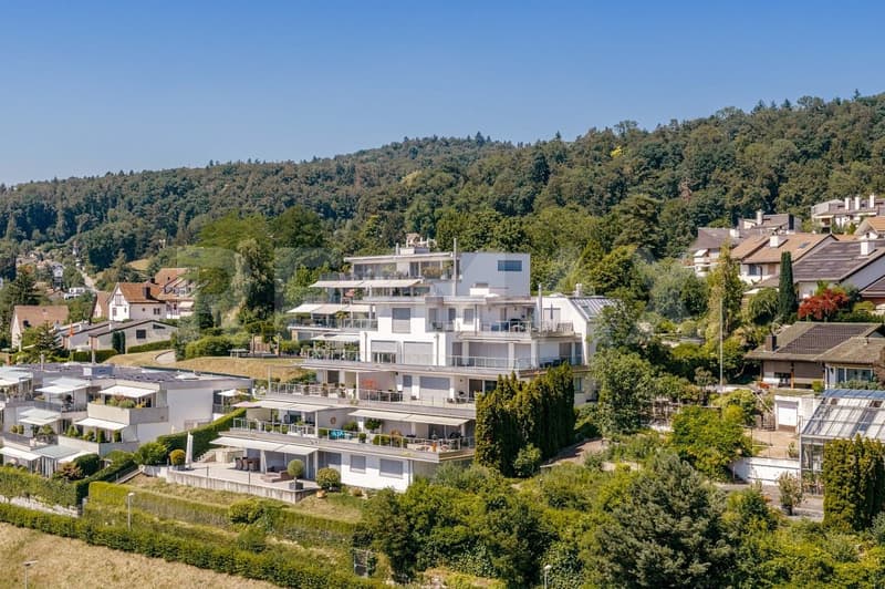 Exklusive 3½-Zimmer-Terrassenwohnung mit traumhafter Aussicht (2)