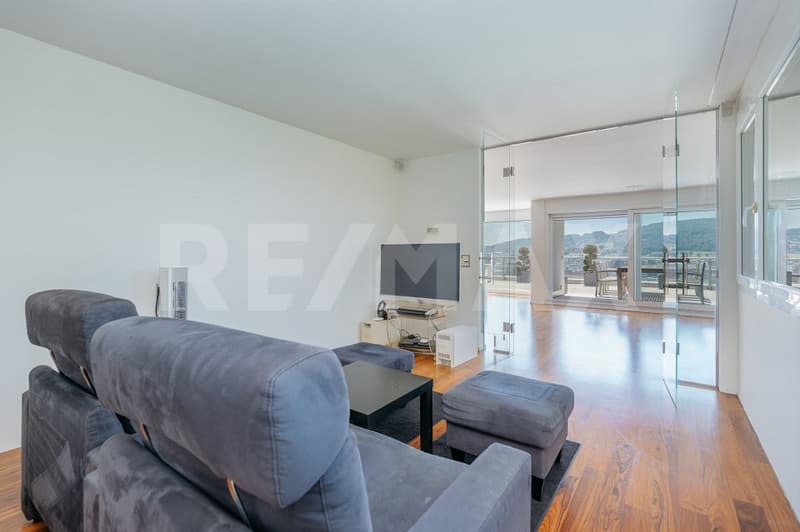 Exklusive 3½-Zimmer-Terrassenwohnung mit traumhafter Aussicht (8)