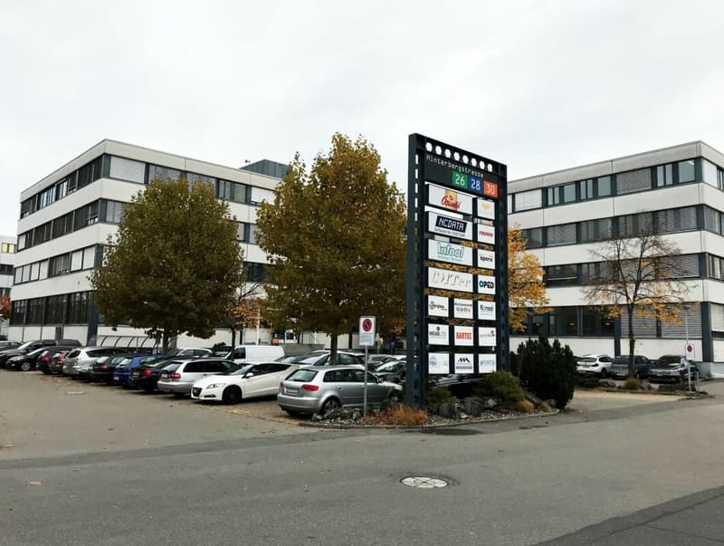 Büro 156 m2 in Steinhausen (1)