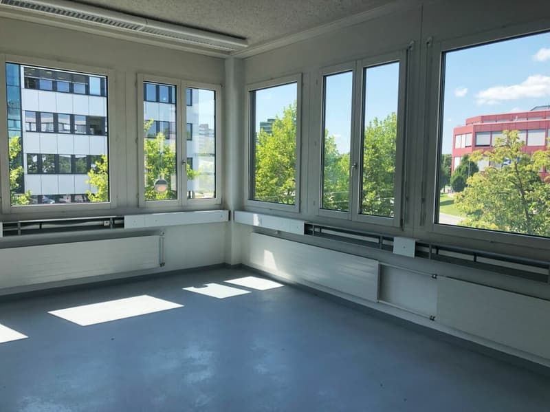 Flexibler Gewerberaum 267 m2 (günstig) (7)