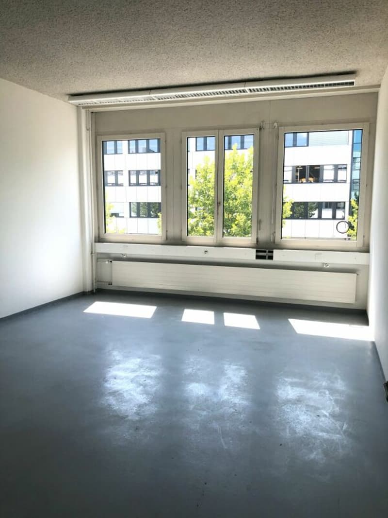 Flexibler Gewerberaum 267 m2 (günstig) (8)