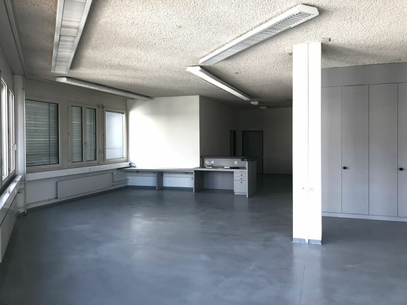 Flexibler Gewerberaum 267 m2 (günstig) (5)