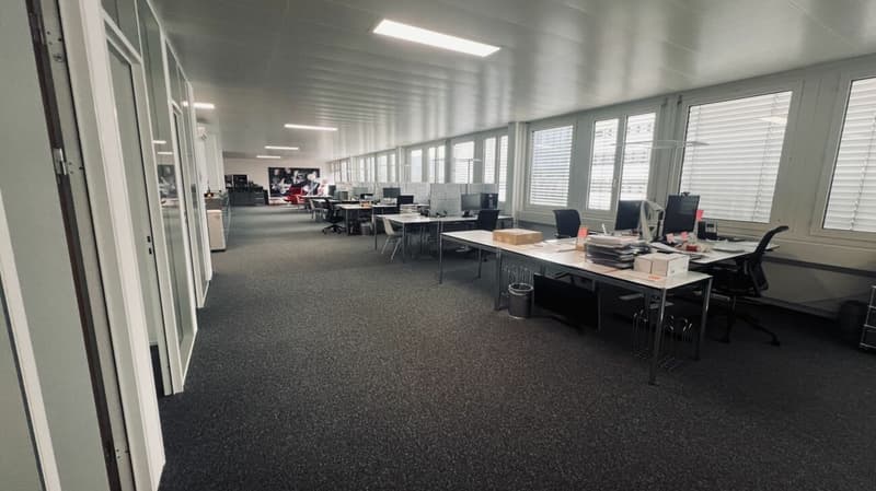 Büro 238 m2 in 6312 Steinhausen (11)