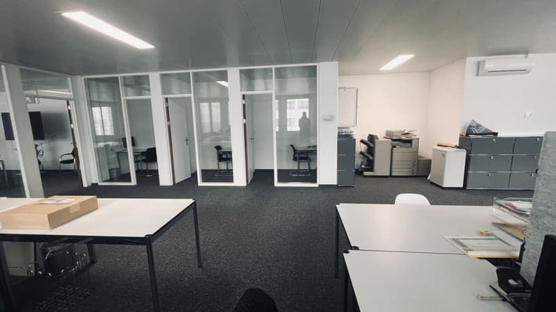 Büro 238 m2 in 6312 Steinhausen (6)