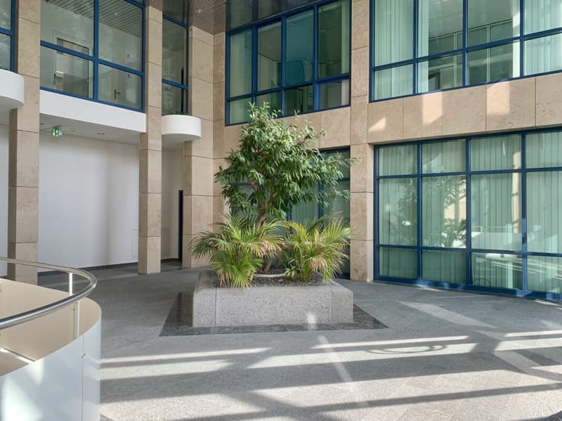 358 m2 flexible Bürofläche im Erdgeschoss in Rotkreuz (2)
