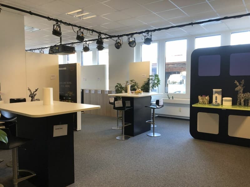 Büro / Ausstellung mit Lager und Anlieferungsrampe in Rotkreuz (15)
