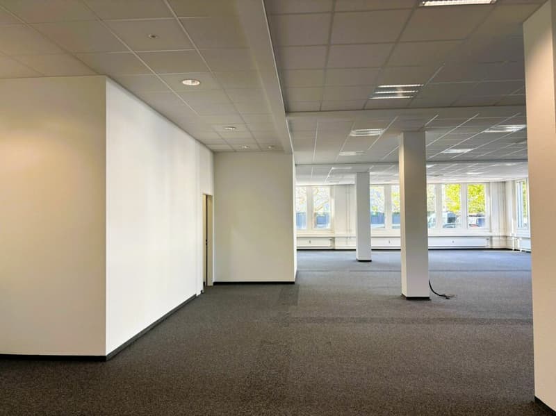 600 m² Büro, Showroom & Lager mit Laderampe - direkt an der Autobahn Rotkreuz, teilbar (10)