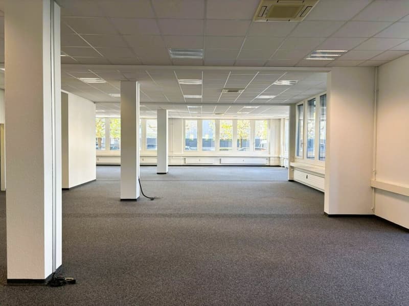 600 m² Büro, Showroom & Lager mit Laderampe - direkt an der Autobahn Rotkreuz, teilbar (13)