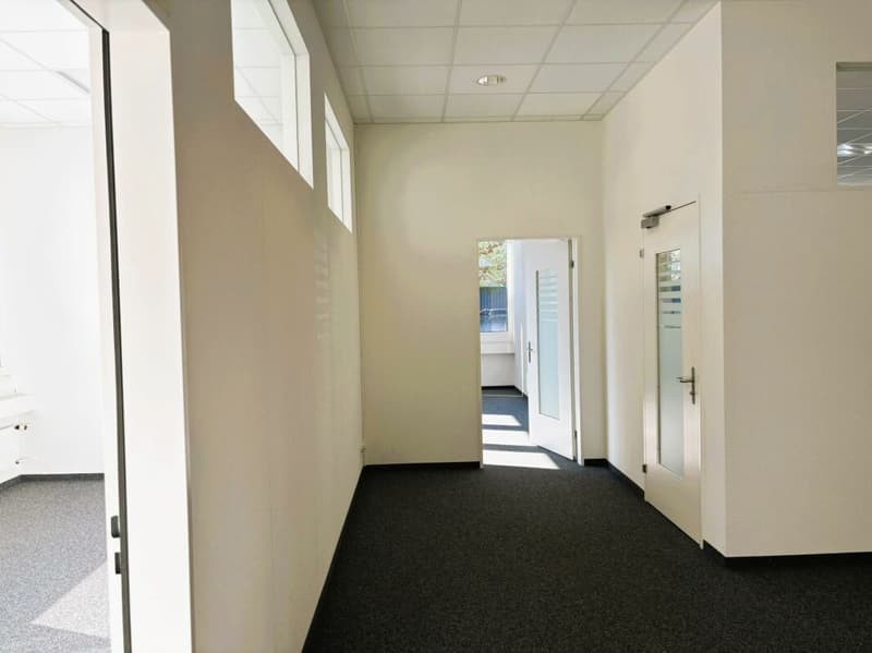 600 m² Büro, Showroom & Lager mit Laderampe - direkt an der Autobahn Rotkreuz, teilbar (5)