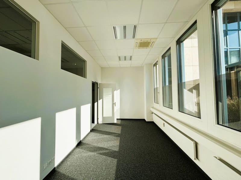 600 m² Büro, Showroom & Lager mit Laderampe - direkt an der Autobahn Rotkreuz, teilbar (7)