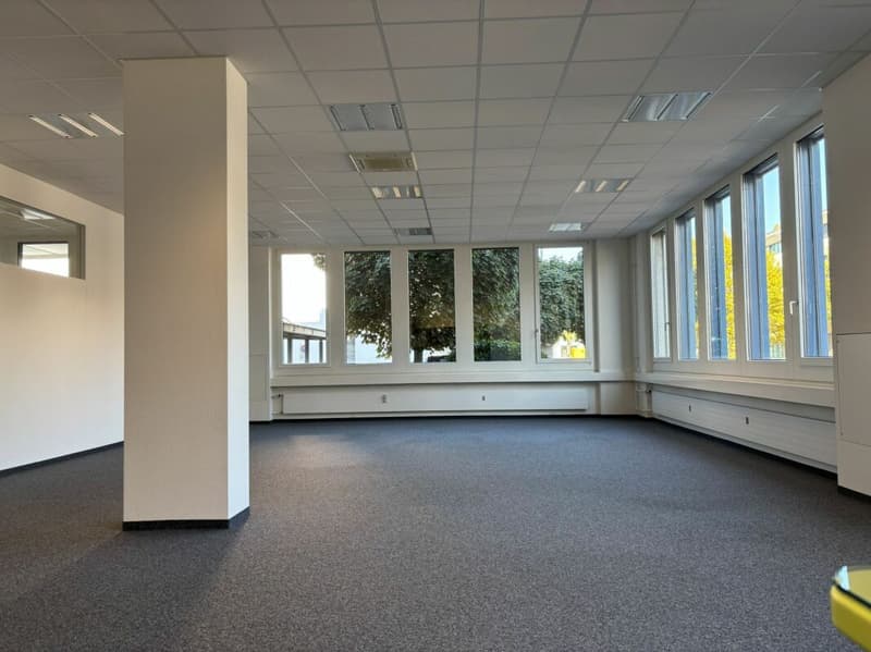 600 m² Büro, Showroom & Lager mit Laderampe - direkt an der Autobahn Rotkreuz, teilbar (16)