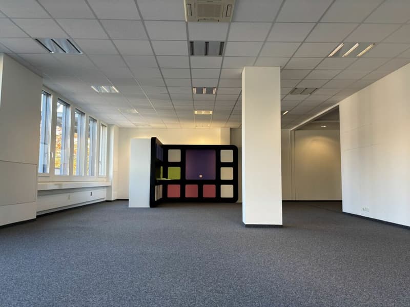 242 m² Showroom & Büro mit Lager und Laderampe - sofort frei (12)