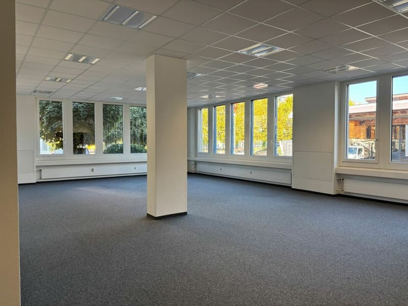 242 m² Showroom & Büro mit Lager und Laderampe - sofort frei (20)