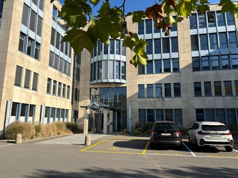 358 m² Büro im EG mit 3.5 m Raumhöhe - flexibel einteilbar (1)