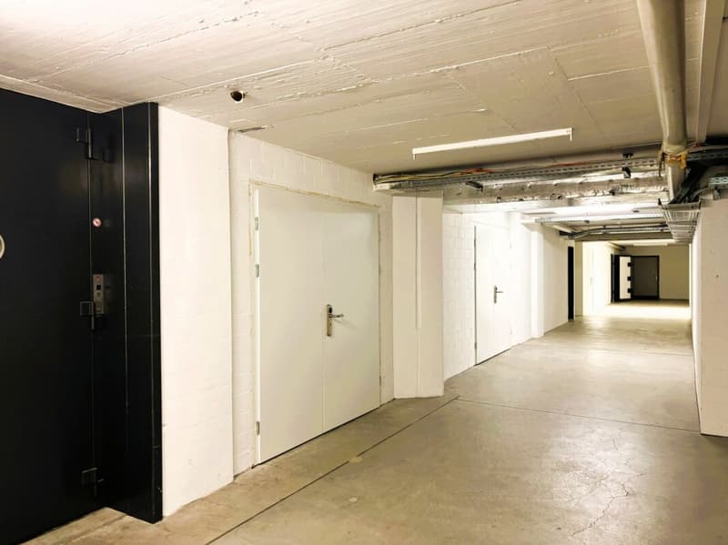 104 m² Lagerraum im 1. UG mit Anlieferungsrampe und Warenlift - Steinhausen (10)