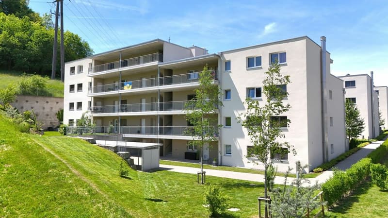 Striegelstrasse 33 D, 5745 Safenwil