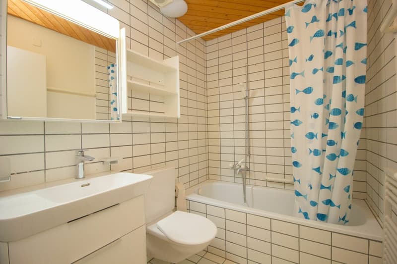 Bad / WC