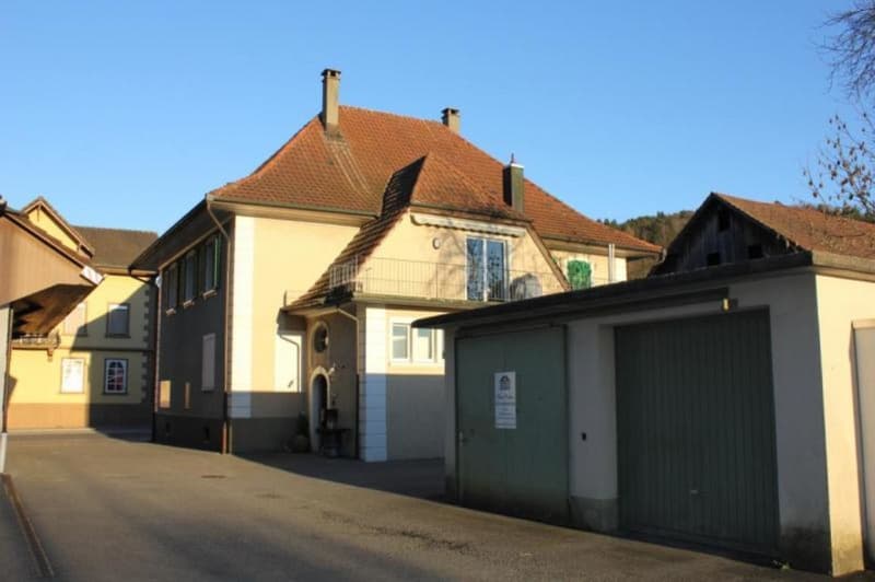 Haus aussen, Rückseite, Garage