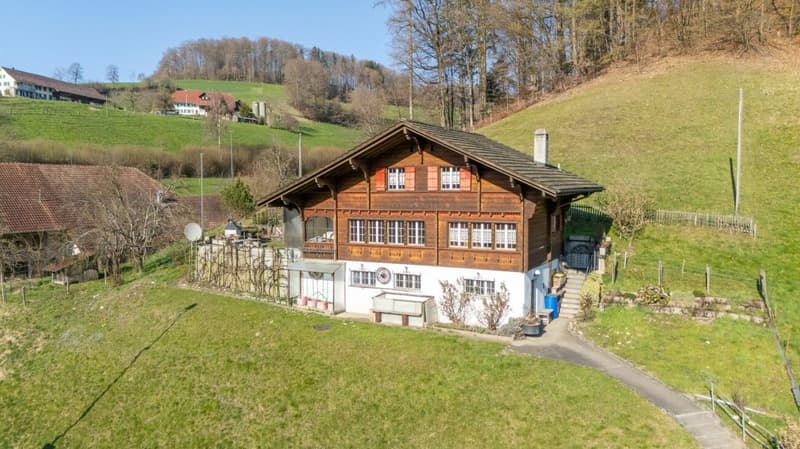 Charmantes Chalet mit viel Potential auf grosser Parzelle (2)
