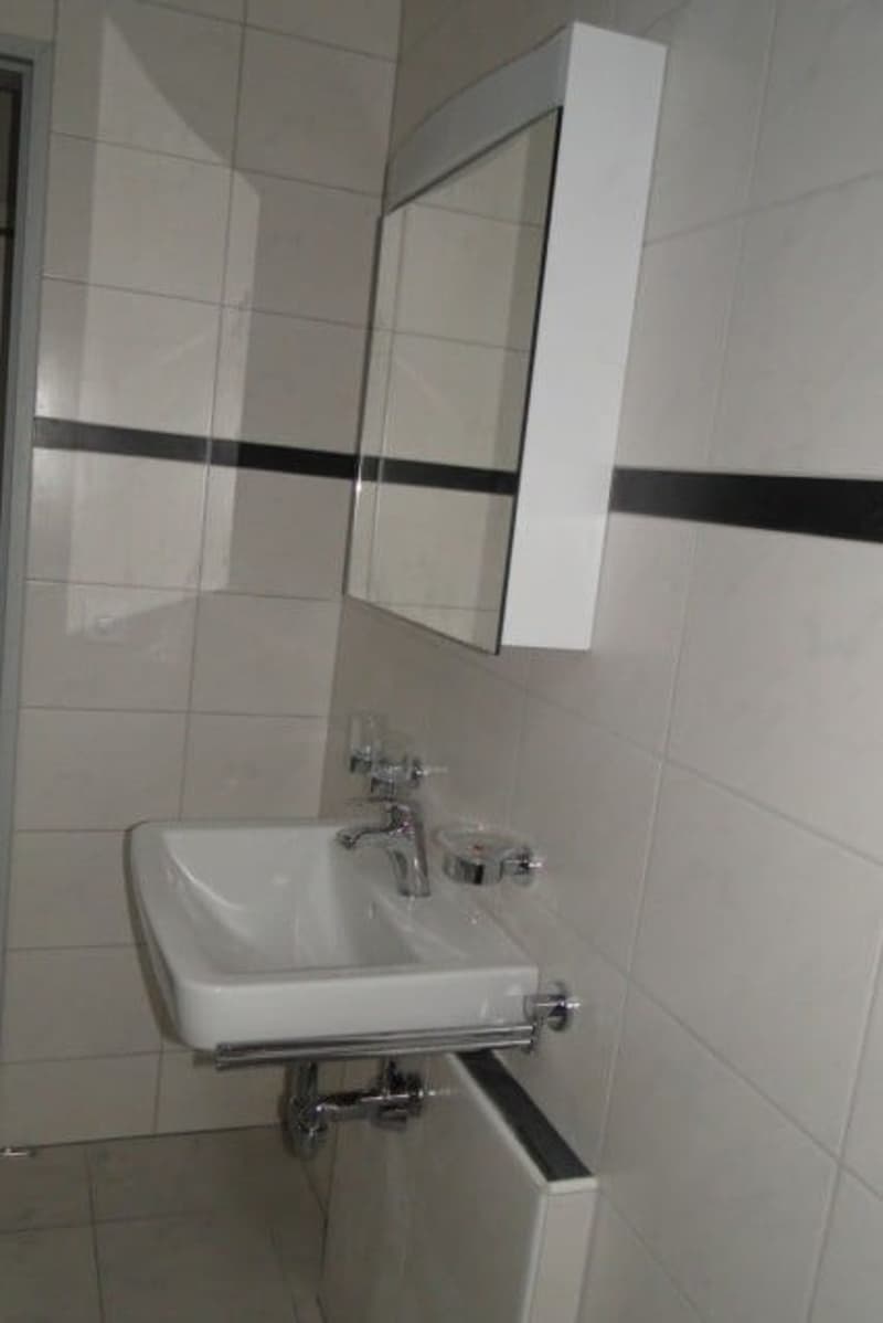 To rent: bright 3.5 room apartment with its own washing machine (4)