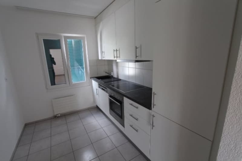 To rent: bright 3.5 room apartment with its own washing machine (9)