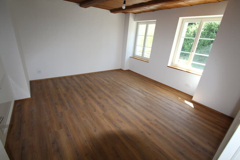 Charmante 3-Zimmer-Wohnung im Erdgeschoss in Zell LU – ab sofort verfügbar! (21)