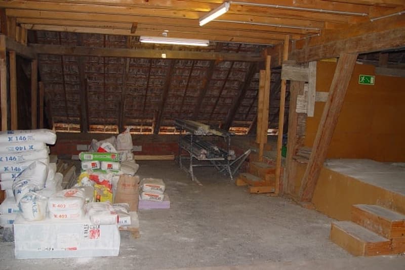Umbaubedürftiges MFH an sehr zentraler Lage (14)