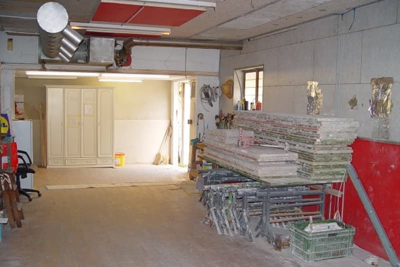 Umbaubedürftiges MFH an sehr zentraler Lage (20)