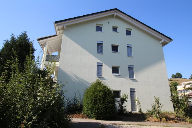 3.5 Zi-Wohnung mit Balkon und Eigenen Waschturm (28)