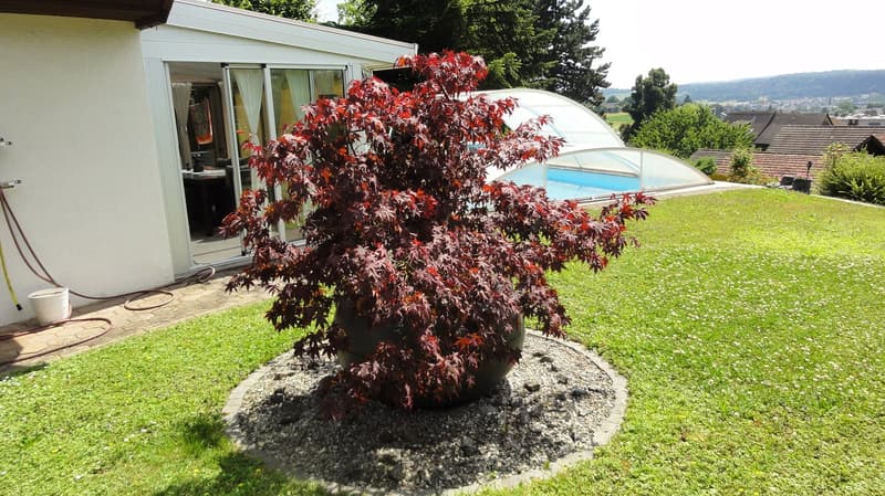 Casa unifamiliare di 5,5 locali in posizione residenziale soleggiata e di pregio (11)