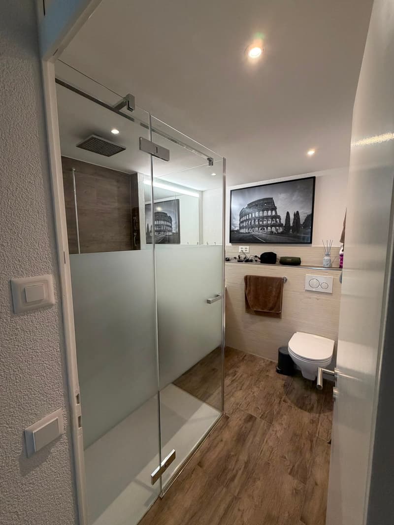 Attraktives, modernes Terrassenhaus mit fantastischer Weitsicht in Klingnau (19)