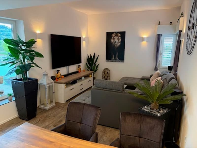 Attraktives, modernes Terrassenhaus mit fantastischer Weitsicht in Klingnau (13)