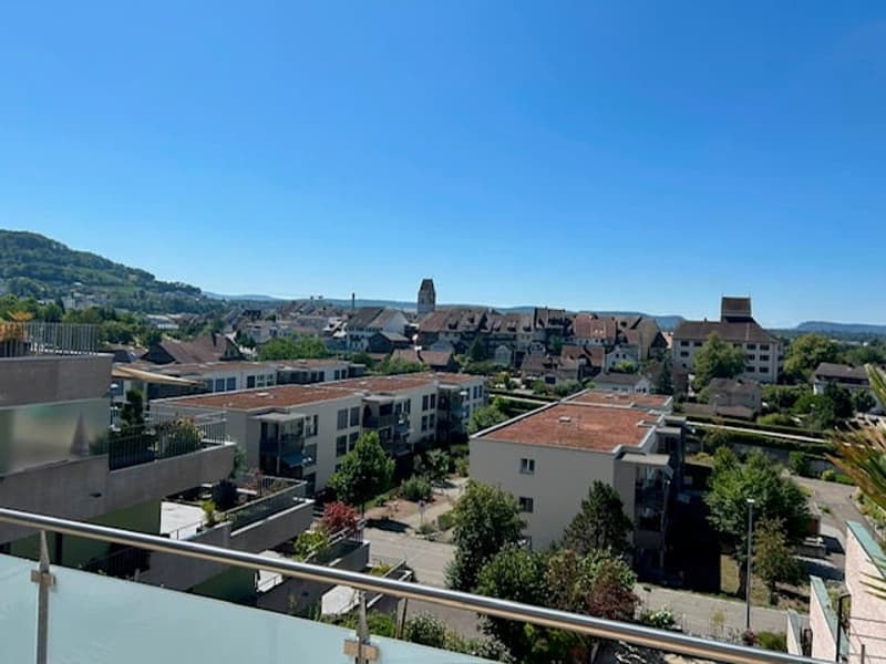 Attraktives, modernes Terrassenhaus mit fantastischer Weitsicht in Klingnau (3)