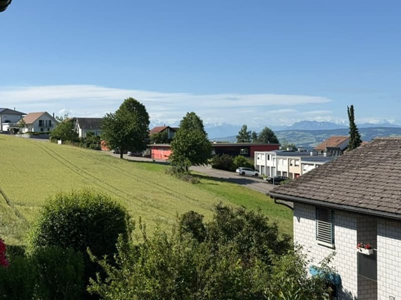 5,5 Zimmer-Reihenhaus mit unverbaubarer Weitsicht an ruhiger, sonniger Lage (1)