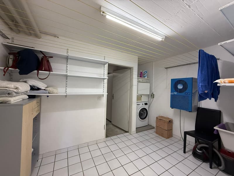 5,5 Zimmer-Reihenhaus mit unverbaubarer Weitsicht an ruhiger, sonniger Lage (17)