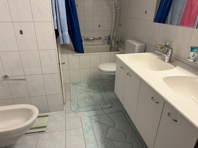 Gemütliches Doppel-Einfamilienhaus in der Zone W3 (17)