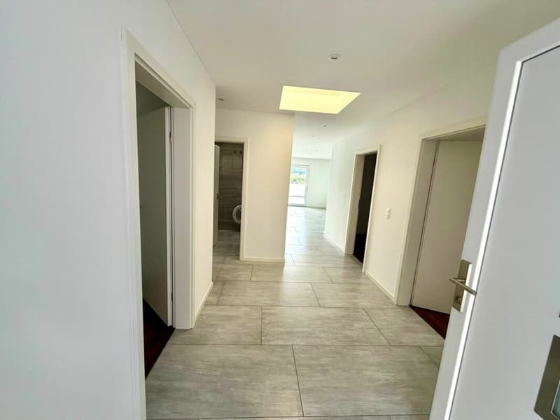 Neuwertige 4.5 Zimmer Attika-Wohnung (10)