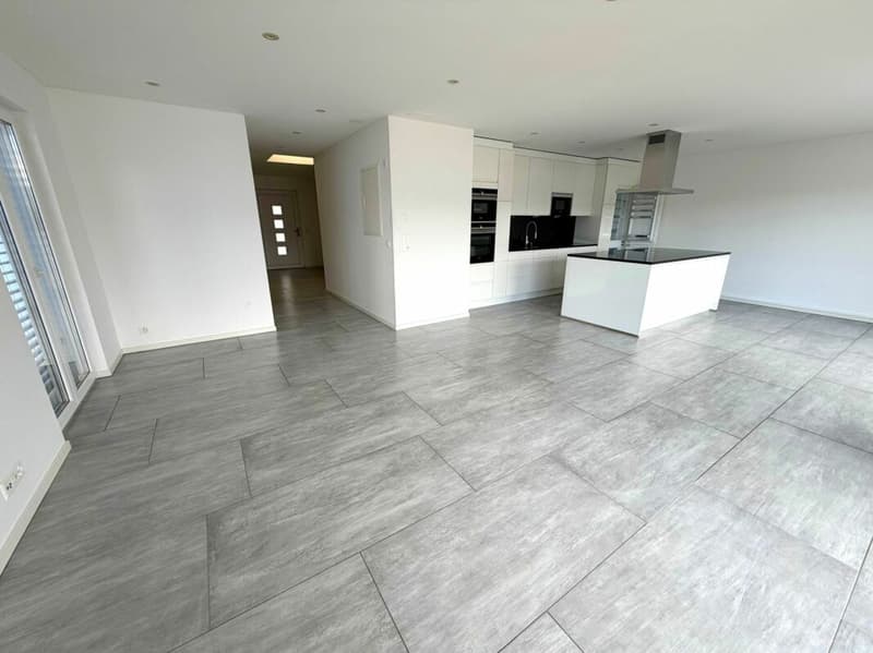 Neuwertige 4.5 Zimmer Attika-Wohnung (4)