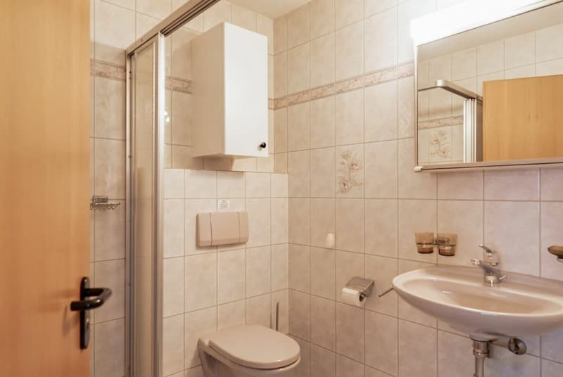 Attraktive 1.5 Zimmer Parterrewohnung (10)